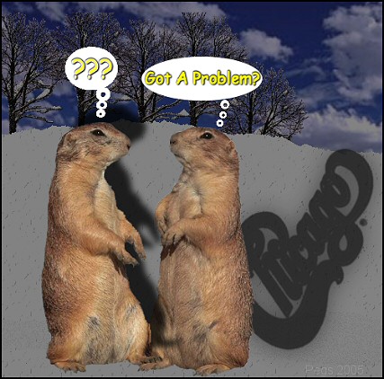 Groundhog Day 2005