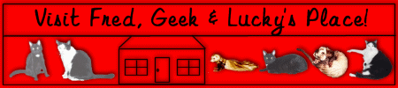 Fred & Geek & Lucky!