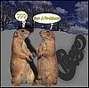 Groundhog Day 2005